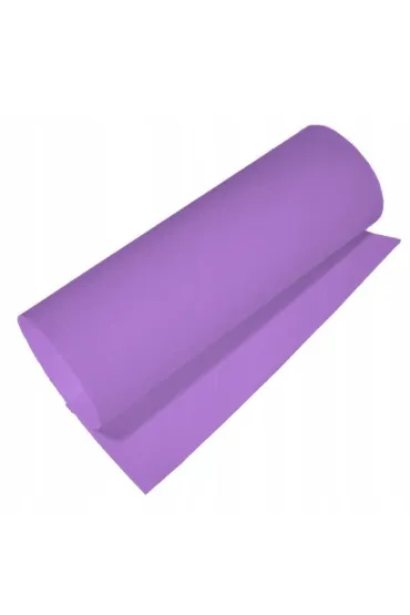 Brystol A1 Karton kolorowy Kreska FIOLETOWY 170g 20 ark.