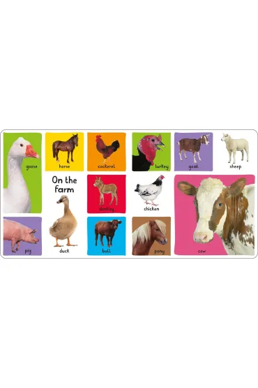 My First 100: Animals - Roger Priddy