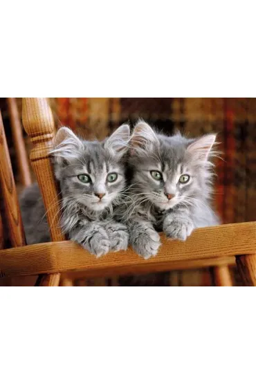 Puzzle 500 el. High Quality Collection. Koci�ta Clementoni