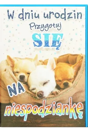 Trend Kartka okoliczno�ciowa Urodziny TS92
