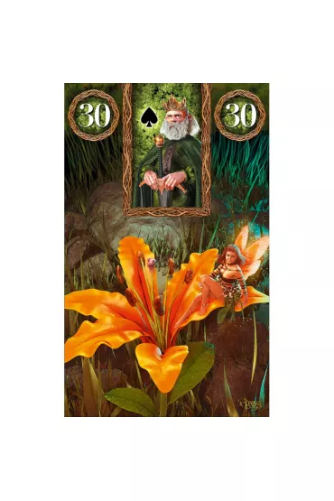 Wyrocznia Lenormand Wr�ek - Fairy Lenormand Oracle - Davide Corsi, Tali Goodwin, Marcus Katz