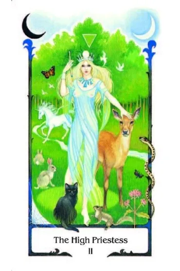 TAROT OF THE OLD PATH SET - Howard Rodway