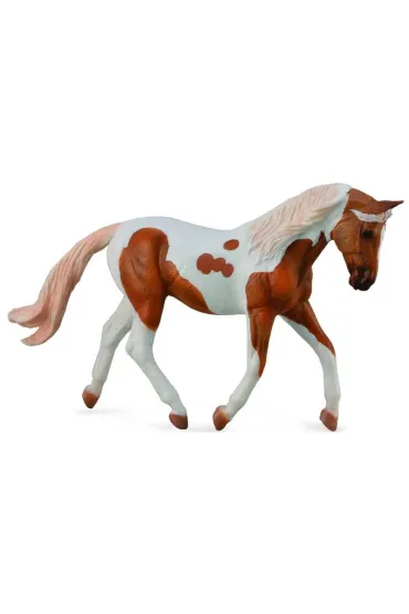 Ko� Pinto Mare Palomino