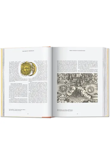 Hartmann Schedel. Chronicle of the World 1493 - Stephan F�ssel