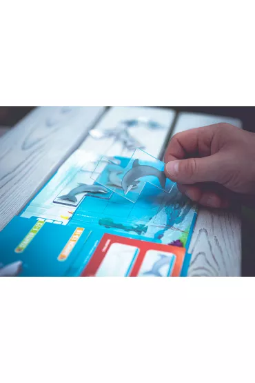Smart Games. Flippin` Dolphins (ENG) IUVI Games