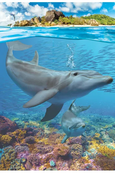 Puzzle 250 el. Delfiny Eurographics