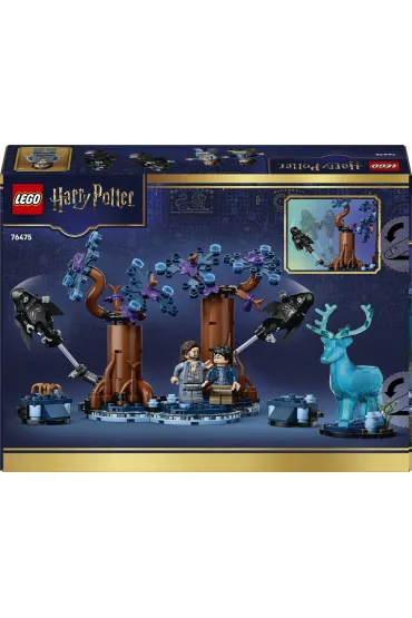 LEGO Harry Potter TM Zakazany Las: Expecto Patronum 76475