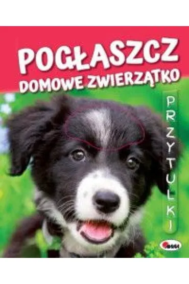 Pog�aszcz Domowe Zwierz�tko. Przytulki - Natalia Kawa�ko-Dzikowska