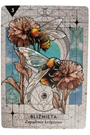 Astrowyrocznia gwiezdnych kod�w, karty - Heather Roan Robbins