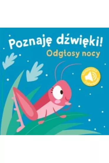 Poznaj� d�wi�ki. Odg�osy nocy
