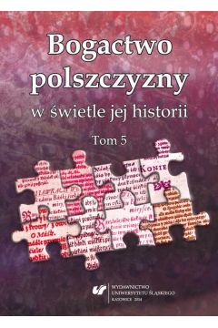 eBook Bogactwo polszczyzny w wietle jej historii. T. 5 pdf