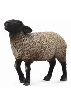 Owca Suffolk