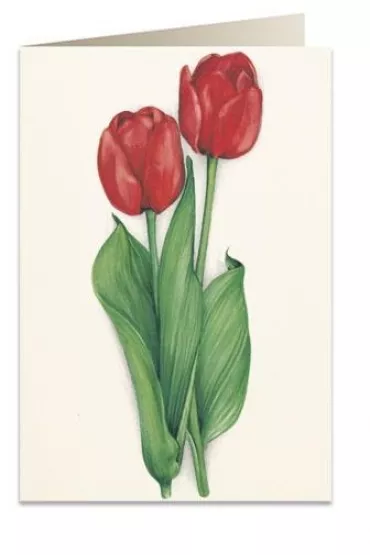 Tassotti Karnet B6 + koperta 7517 Czerwone tulipany