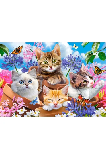Puzzle 500 el. Kittens with Flowers Castorland