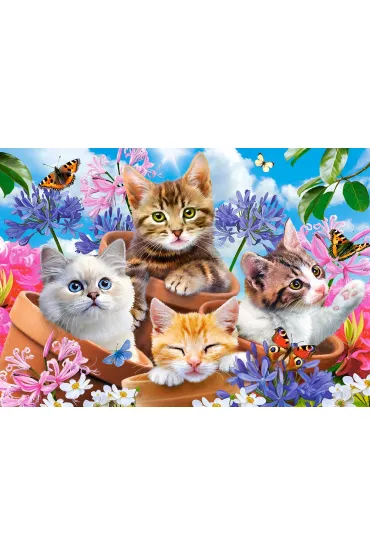 Puzzle 500 el. Kittens with Flowers Castorland