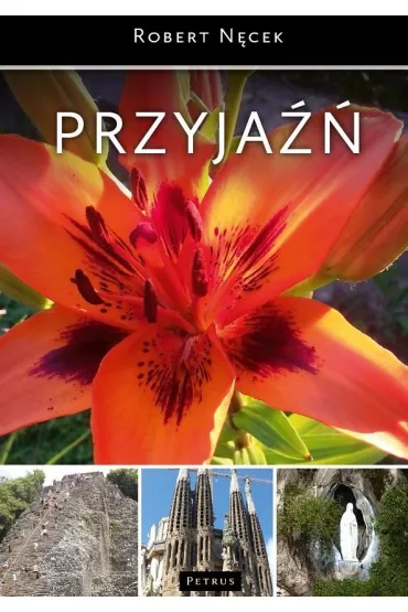 Przyja�� - Robert N�cek