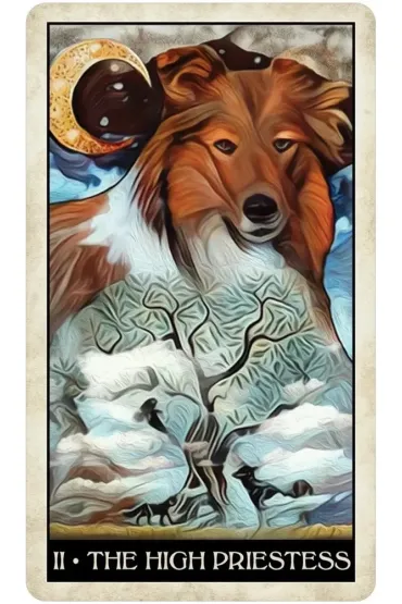 Wise Dog Tarot, karty do wr�enia - Mj Cullinane