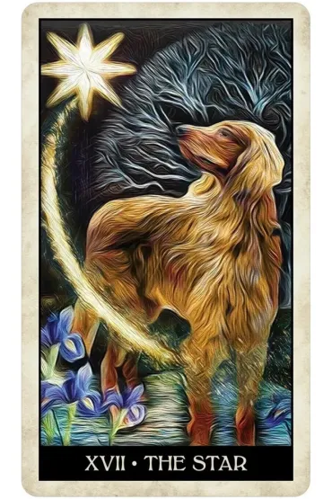 Wise Dog Tarot, karty do wr�enia - Mj Cullinane