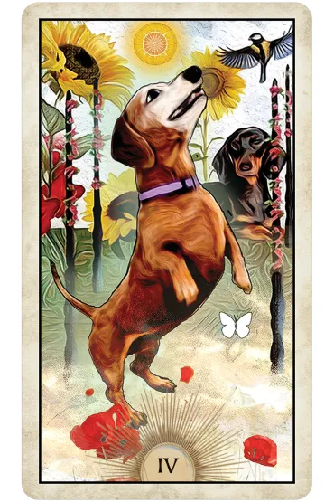 Wise Dog Tarot, karty do wr�enia - Mj Cullinane