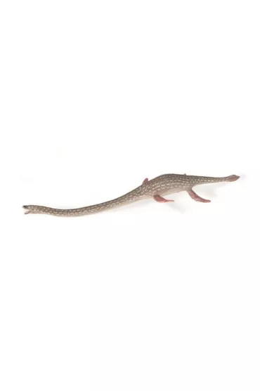 Elasmozaur