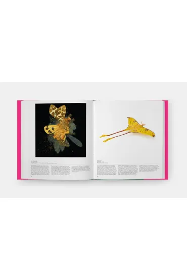 Butterfly. Exploring the World of Lepidoptera - David G James