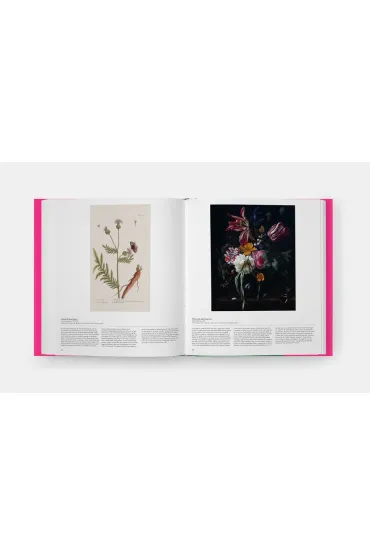 Butterfly. Exploring the World of Lepidoptera - David G James