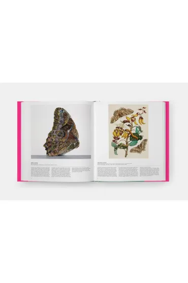 Butterfly. Exploring the World of Lepidoptera - David G James