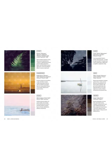 Opowiadanie fotografi� Warsztaty - Beales Finn