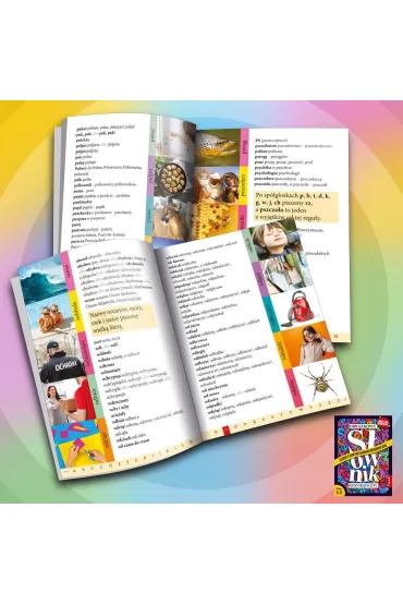 Obrazkowy s�ownik ortograficzny. Zgodny z nowymi zasadami ortografii 2026. Id� do szko�y. Klasy 1-3 - Anna Borchard