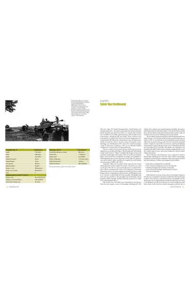 Ferdinand/Elefant - David Doyle