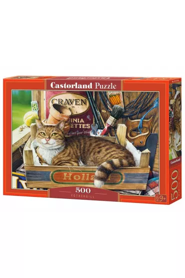 Puzzle 500 el. Fothergill Castorland