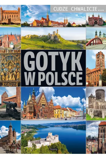 Cudze chwalicie. Gotyk w Polsce - Izabela Wojtyczka