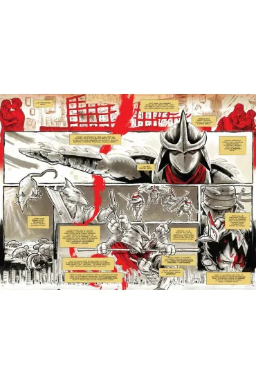 Wojownicze ��wie Ninja. Ostatni Ronin II: Re-Ewolucja - Kevin Eastman, Tom  Waltz
