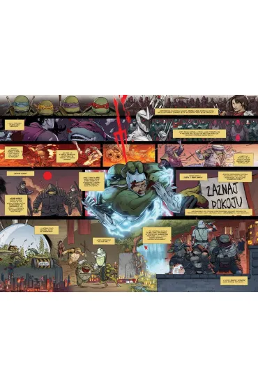 Wojownicze ��wie Ninja. Ostatni Ronin II: Re-Ewolucja - Kevin Eastman, Tom  Waltz