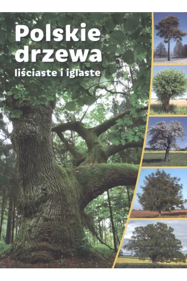 Polskie drzewa li�ciaste i iglaste