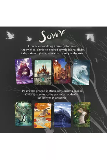 Sowy Nasza Ksigarnia - Sophia Wagner