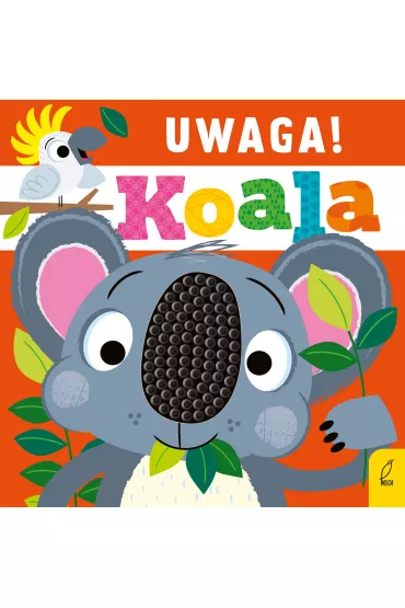 Uwaga, koala!