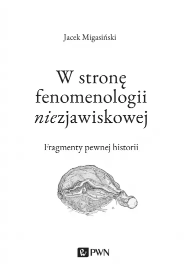 W stron� fenomenologii niezjawiskowej - Jacek Migasi�ski