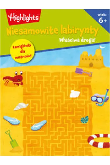 Niesamowite labirynty. W�a�ciwa droga