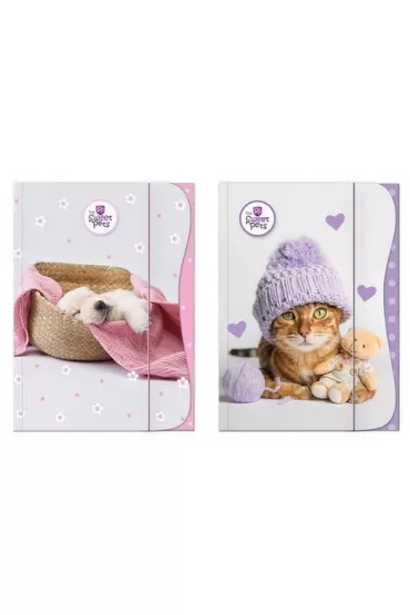 Beniamin Teczka z gumk� A4 The Sweet Pets - Kids