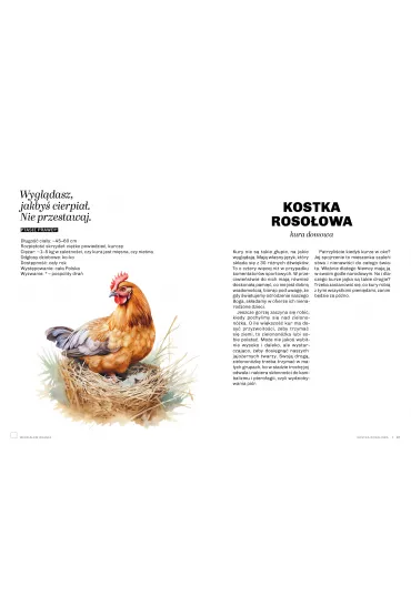 Gupie ptaki Polski. Przewodnik wiadomego obserwatora - Marek Maruszczak