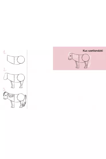 Umiem rysowa konie, kucyki i jednoroce - Adelina  Sandecka