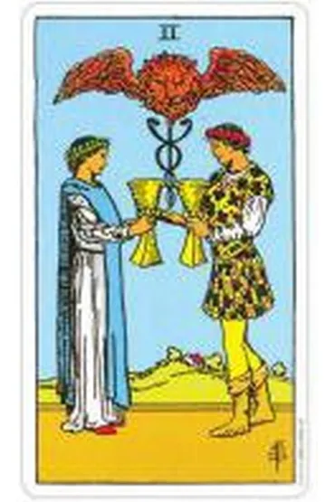 A.E. Waite Tarot Pocket Premium Edition