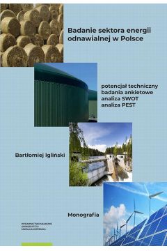 eBook Badanie sektora energii odnawialnej w Polsce. Potencja techniczny, badania ankietowe, analiza SWOT, analiza PEST pdf