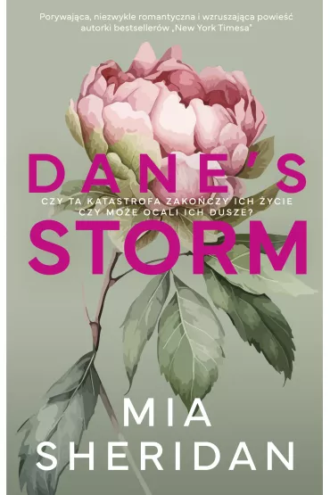 Dane's Storm - Mia Sheridan
