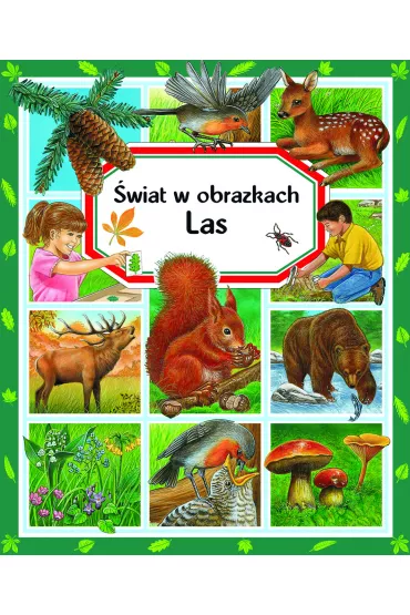 �wiat w obrazkach. Las - Emilie Beaumont