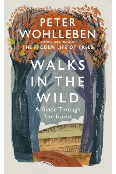 Walks in the Wild : A guide through the forest