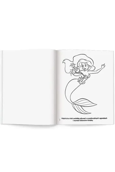 Disney Ksi�niczka. Malowanka z farbami