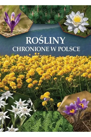 Ro�liny chronione w Polsce