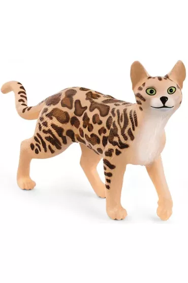 Kot Bengalski